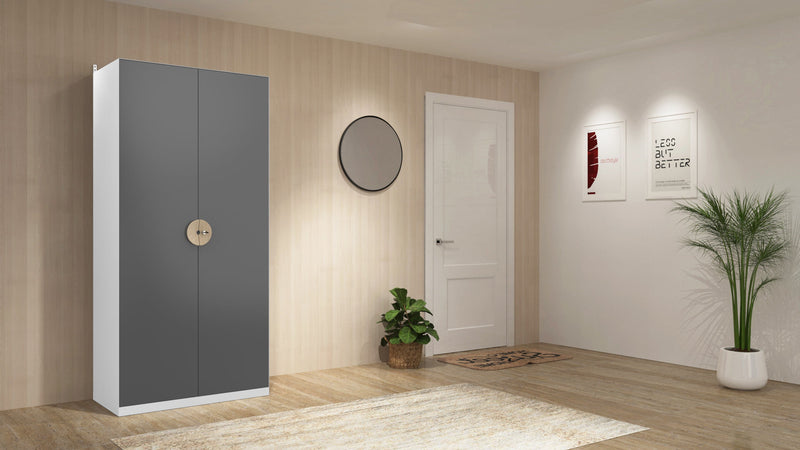 Chic 2 Door (Matt Grey Color) By Xohome Furniture 